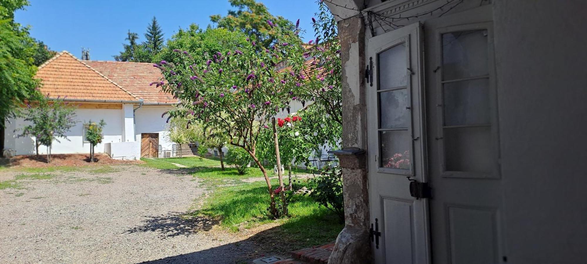 Plitzner Belvarosi Apartmanhaz エゲル エクステリア 写真